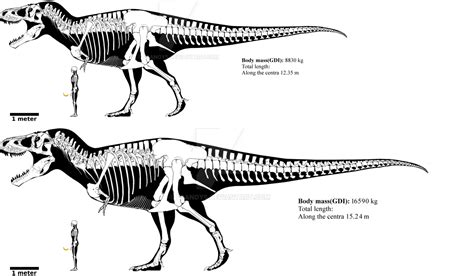 Tyrannosaurus rex and Vastatosaurus rex size by mark0731 on DeviantArt