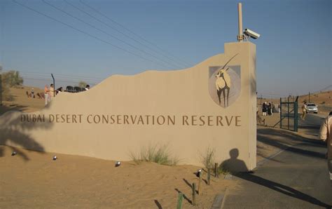 Dubai Desert Conservation Reserve in Margham, Sharjah, UAE - Your Dubai ...