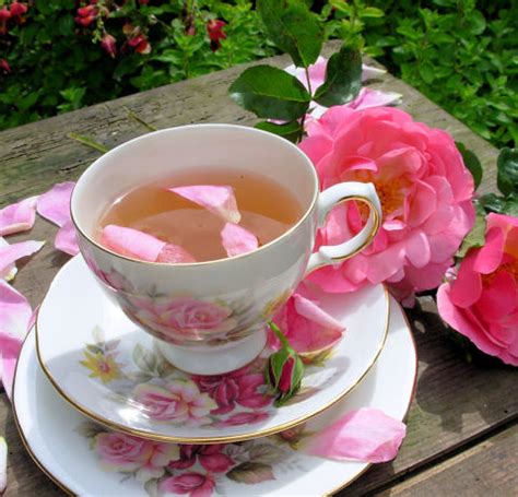 Rose Tea Recipe - Food.com