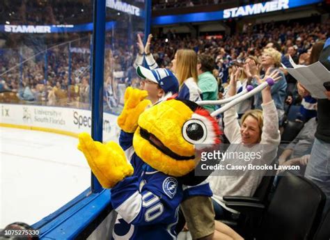 484 Tampa Bay Lightning Mascot Stock Photos, High-Res Pictures, and ...