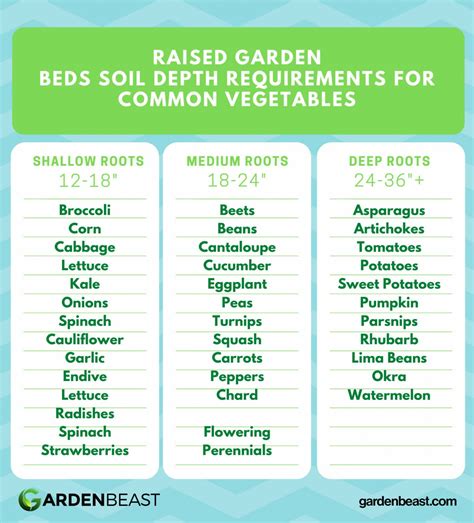 Raised Garden Beds: The Ultimate Guide for Beginner's