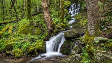 Top 5 Most Beautiful Waterfalls in the Smoky Mountains