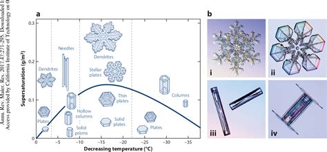 [PDF] Physical Dynamics of Ice Crystal Growth | Semantic Scholar