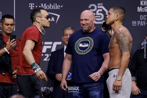 UFC 229 live blog: Tony Ferguson vs. Anthony Pettis - MMA Fighting