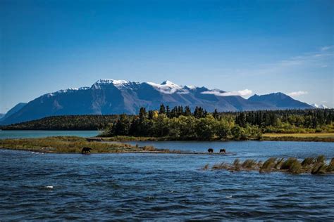 Katmai National Park Day Trip: The Easy Way to See the Park