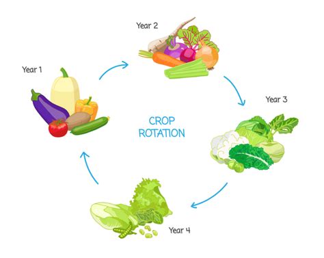 Crop Rotation - Guide (2023) | E-agrovision