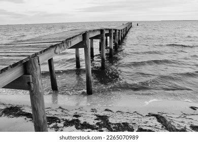 45 Carrabelle Beach Royalty-Free Photos and Stock Images | Shutterstock