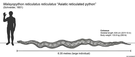 MPAs is concurrently submission ampere statewide mesh