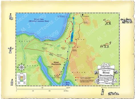 Glasses For Fat Face Men round: List 15: Mount Sinai Map