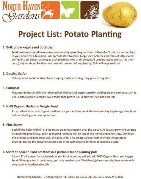 Potato Planting - North Haven Gardens