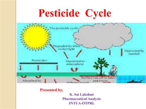 Pesticide cycle | PPT