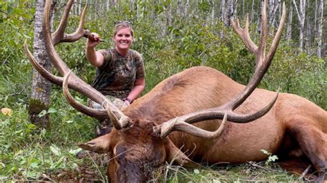 Minnesota Hunter's Bull Elk Deemed Second-Largest Ever Shot in State - Fox21Online