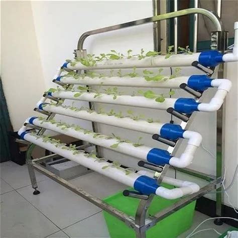 Semi-Automatic Rectangular UPVC NFT Hydroponic System, Capacity: 60 ...