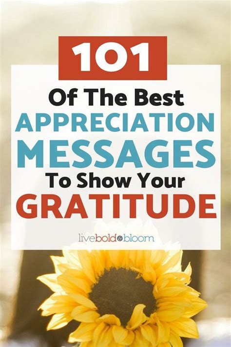 Grateful Quotes Gratitude, Thank You Messages Gratitude, Thank You Greetings, Thankful, Words Of ...