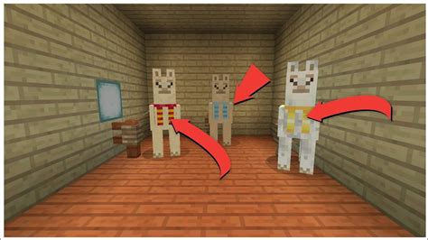 Minecraft How To Make Llama Carpet | www.resnooze.com