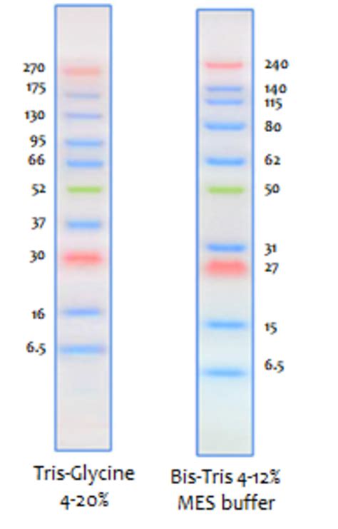 Generics for Molecular Biology - LubioScience GmbH