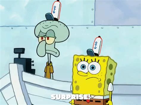 Season 5 GIF by SpongeBob SquarePants - Find & Share on GIPHY