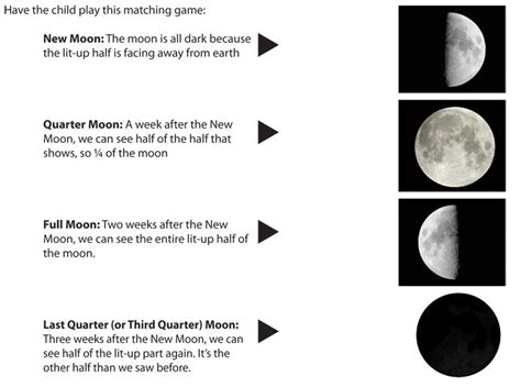 Moon Facts For Kids Interesting Facts About The Moon, 42% OFF