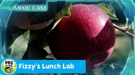 FIZZY'S LUNCH LAB | Mixie Reports: Carbohydrates & Sugars | PBS KIDS ...