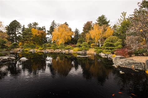 Autumn at Denver Botanic Gardens | Denver Botanic Gardens