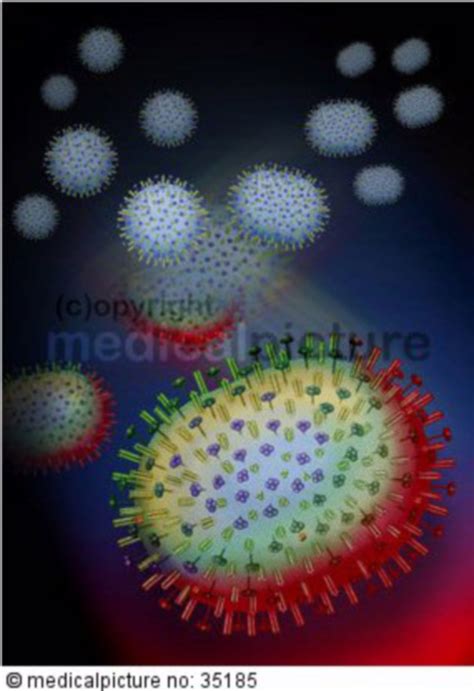 Mutation des H5N1 Virus, mutation of H5N1 virus - DocCheck