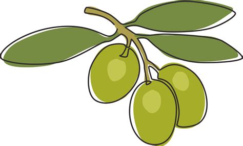 Olive Garden Logo Png