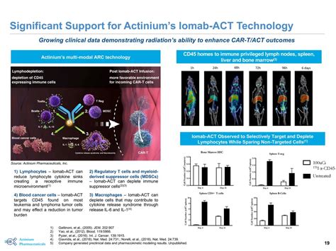 Actinium Pharmaceuticals (ATNM) Investor Presentation - Slideshow (NYSE ...