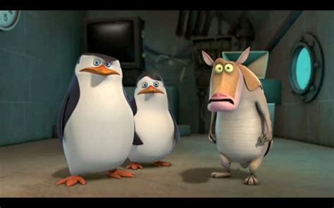 Worlds Best Skipper Expressions - Penguins of Madagascar Photo (30979341) - Fanpop