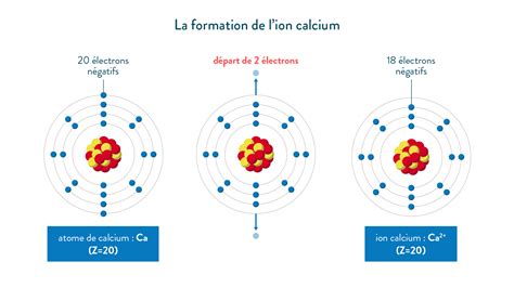 Ntroduire 82+ imagen formule ion calcium - fr.thptnganamst.edu.vn