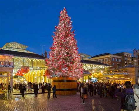 Christmas Tree all lit up in Covent Garden London England | Beautiful christmas trees, Christmas ...