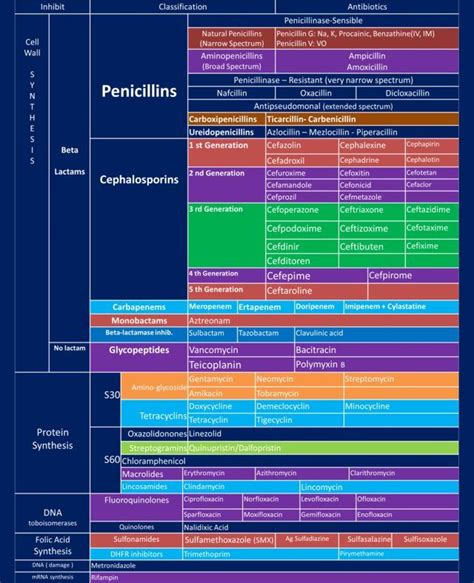 Imgur | Pharmacology nursing, Medicine student, Antibiotics pharmacology