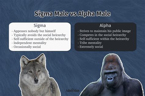 The Sigma Male Explained: Traits, Quiz, Pros and Cons