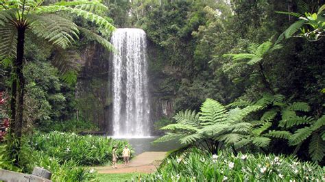 Cairns Waterfalls - Things to Do in Cairns