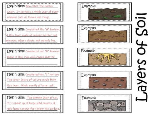 Layers Of Soil Worksheet – Ame.my.id