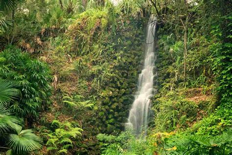 8 STUNNING Waterfalls in Florida ️ by a Local (+Map)