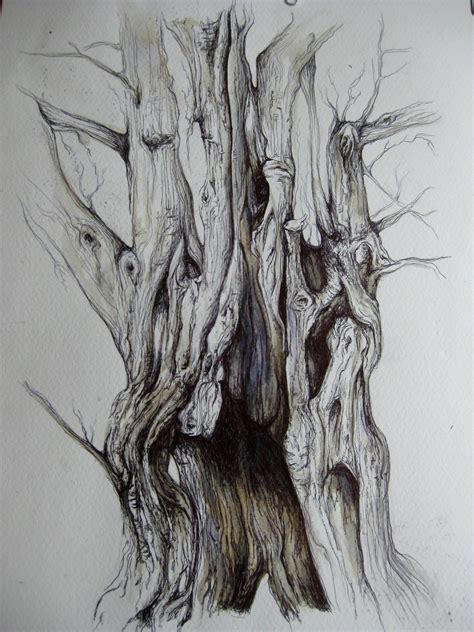 Biro enchanted tree | Tree drawings pencil, Tree sketches, Enchanted tree