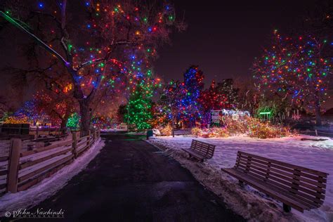 Zoo Lights at the Denver Zoo - Photos