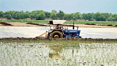 Kharif crop in Punjab: 200k-hectare fields still to be cleared - Hindustan Times