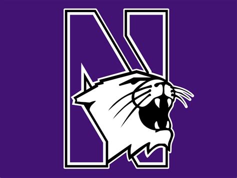 Download High Quality northwestern university logo mascot Transparent PNG Images - Art Prim clip ...