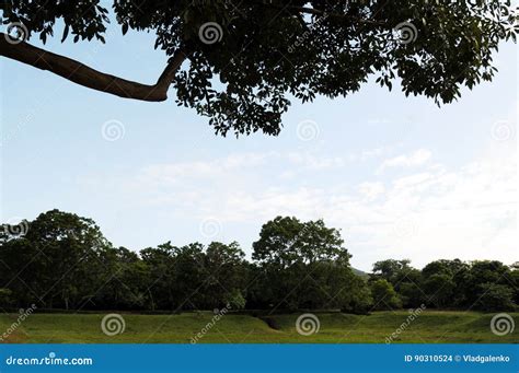 The Gardens Around Sigiriya Rock. Stock Photo - Image of fresh, famous ...