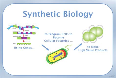 The Tomorrow Project : Conversations about Synthetic Biology | THE ...