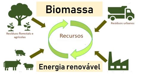 Biomassa energia renovável - Sobre a vida no Brasil