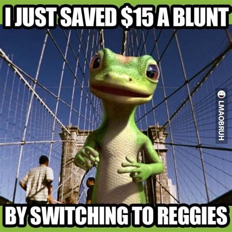 View 16 Funny Geico Memes - activemeukpics