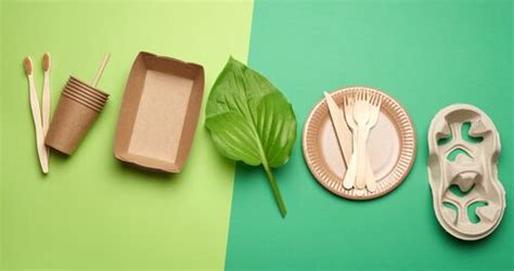 7 Best eco-friendly packaging products for a restaurant