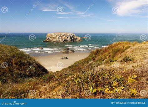 Scenic Oregon Pacific Coast Trail Landscape Stock Photo - Image of ...