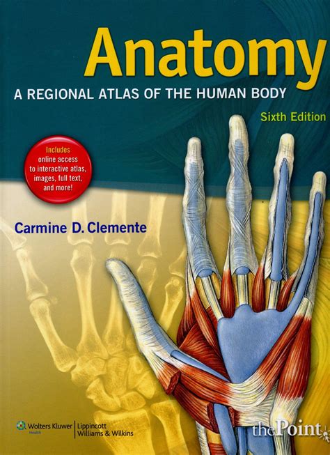 Human Body Atlas Anatomy