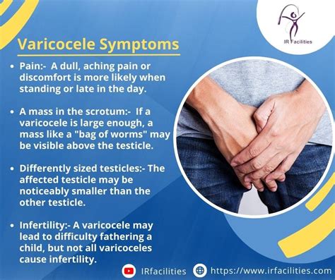 Varicocele Symptoms - irfacilities - Medium