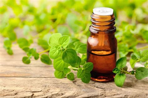 Oil of Oregano: Benefits for Gut Health and How to Use It - The Ruscio Institute for Functional ...