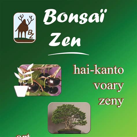 Bonsaï Zen