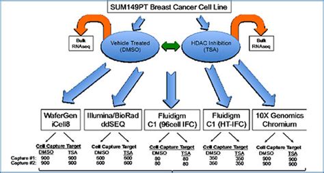 Comparative analysis of single-cell RNA sequencing platforms and methods | RNA-Seq Blog